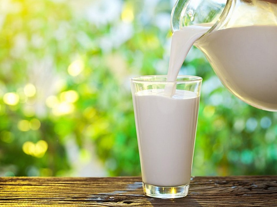 Уникальную технологию производства безлактозного молока придумали уральские студенты