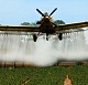 В России снимут фильм о летчиках сельхозавиации