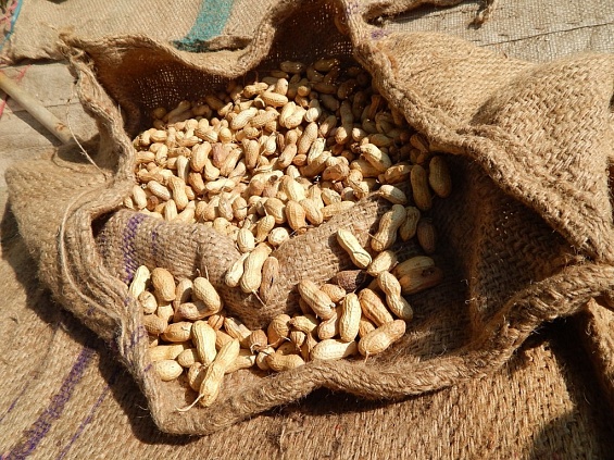 Россельхознадзор вернул в Китай партию арахиса, содержащего токсичный кадмий