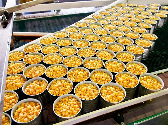 Кубань выпустила более 200 млн условных банок консервов кукурузы, поставив абсолютный рекорд