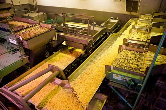 Персонал липецкого завода картофеля фри госпитализирован с отравлением