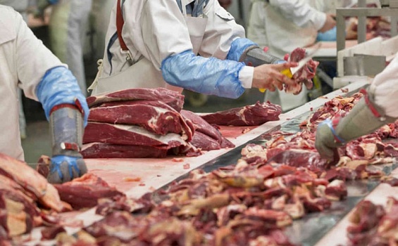 Россельхозбанк инвестирует 2,5 млрд рублей в мясоперерабатывающий завод на Ставрополье 