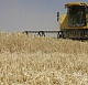 Эксперты: Реальный сбор зерна РФ в 2012 году может превышать отчетный 