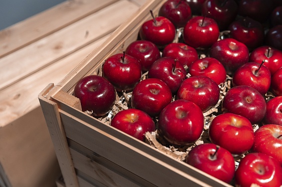 Второй органический сорт яблок появился у компании «Агроном-Сад»