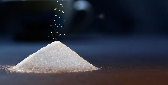 «Заинский сахар» в новом сезоне планирует принять более 1,1 млн тонн сахарной свеклы