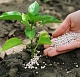 АГРОСИЛА начала строительство площадки производства органических удобрений