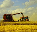 Зерно вне закона. Почему России не поможет рекордный урожай