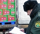 Шпик прошел через границу: поток «запрещенки» в Россию вырос на 80%