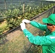 «Агроном-Сад» установили противоградную сетку на 112 га интенсивного сада 