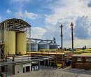 На Кубани запустят крупнейшее в России производство полисахарида из крахмала