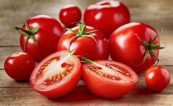 «Росгосстрах» застраховал урожай томатов сельхозпредприятия в Астраханской области на 700 млн рублей