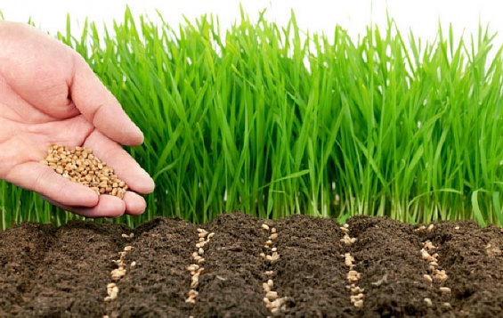 НСА и Минсельхоз Приморья обсудили меры по обеспечению страхования весеннего сева