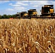 В Госдуму внесут закон о регионах, неблагоприятных для аграрной деятельности 