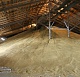 На биржевых торгах 13 ноября продано немногим более 63 тысяч тонн зерна